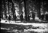 Troops march on foot through the Argonne Forest France