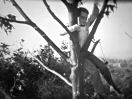Harold up a tree