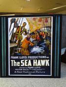 Backlit Sea Hawk poster