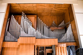 Concert organ pipes