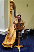 Harpist Erin Wood provided soothing music as patrons took seats at our 2023 Cinema Dinner