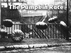 The Pumpkin Race