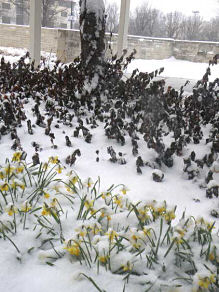 Just outside the White Concert Hall lobby